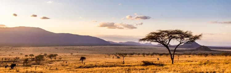 Upgraded - Highlights of Kenya & Tsavo